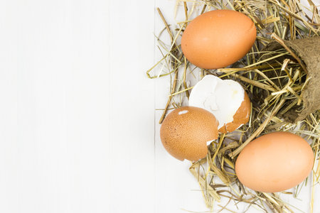 Chicken eggs and hay on the table. Copy space for text