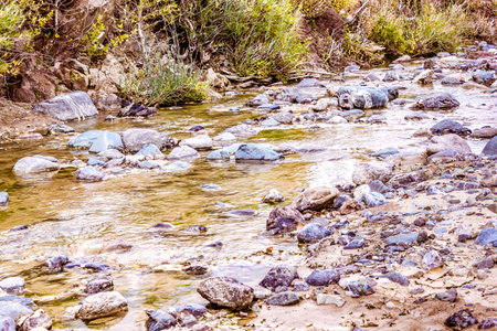 Mountain stream in the forest. Fast river with green plants on the shore.