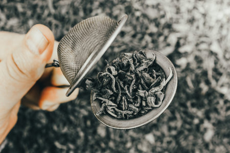Green dry tea in a metal strainer in handの写真素材