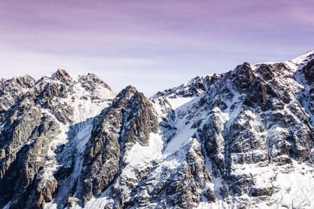 Dawn or sunset in mountains in winter. Mountain range under pink clouds. Rocks are covered with snow...