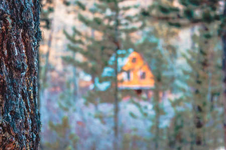 Wooden house in pine forest. Building is hidden behind trees. Outdoor recreation. Mystery house, secret hunting lodge.の写真素材