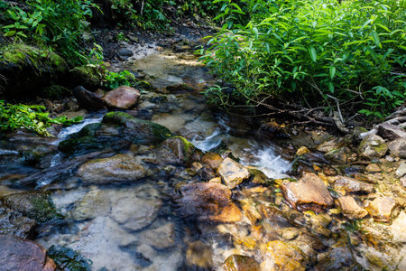 Mountain stream on sunny day. River in forest with green banks
