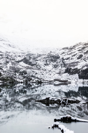 Frozen mountain river with snow covered pines. Winter in mountains