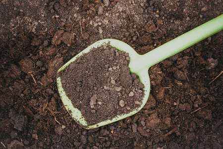 Spade on fresh ground, tool for working in gardenの写真素材