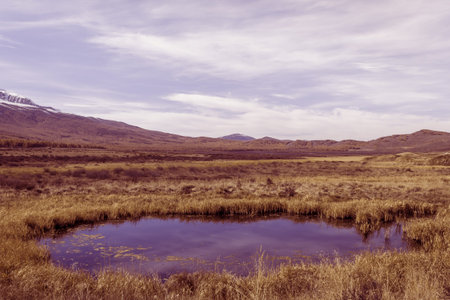 Bend of river in yellow grass. Golden autumn in mountain valley. Snow rocks on horizon