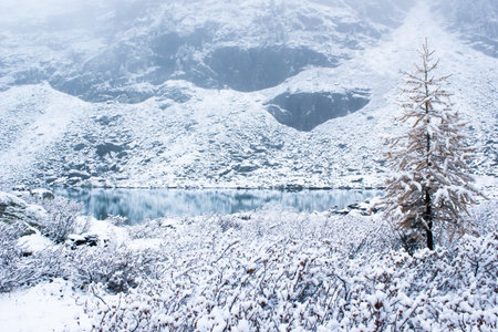 Winter weather on mountain river. Snow pines on lake
