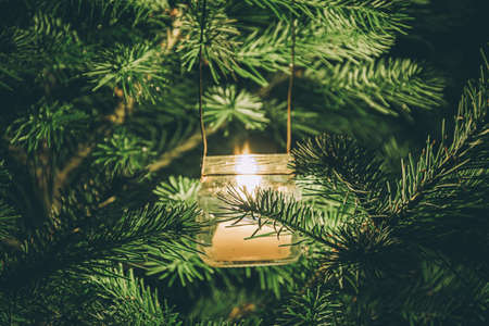 Candle in glass jar burns among the fir branches. Mystical night in forest.の写真素材
