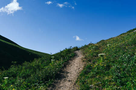 Dirt Hiking trail for trekking through green meadowの写真素材