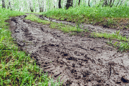 Dirt road in countryside. Life in country, travel on fieldの写真素材