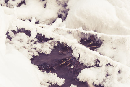 Winter Creek under snow cover