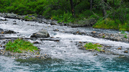 River with fast flowing water, mountain stream rocks. Travel to the mountain valley, water tourismの写真素材