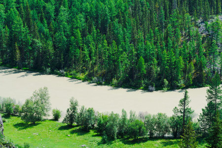 Mountain river in rocks. Flow of water in mountain valley in Altai