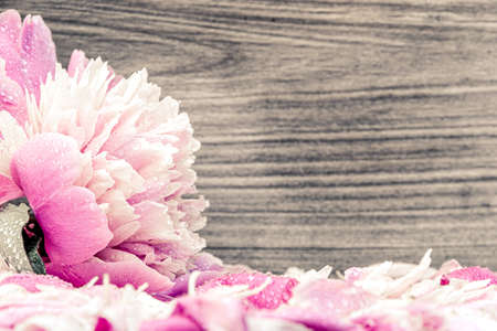 Peony flowers on wooden table. Pink petals for backgroundの写真素材