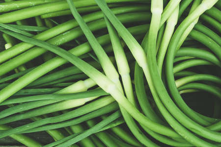 Green stalks of garlic on wooden table. The twisted stems of plants from seed. Preparation of summer salad for healthy dietの写真素材