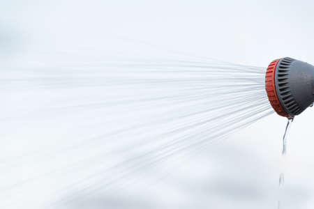 Watering beds and plants in summer garden from sprinklerの写真素材