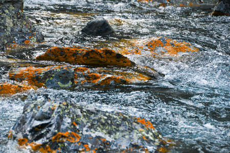 Mountain stream with yellow stones. Rapid flow of river, boiling waterの写真素材