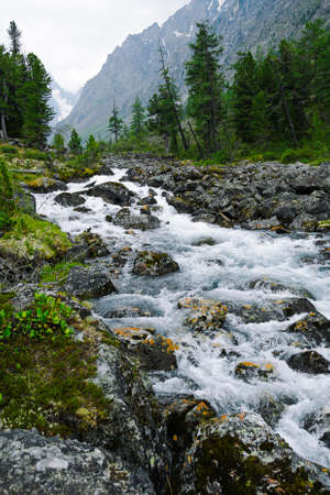 River with fast flowing water, mountain stream rocks. Travel to the mountain valley, water tourismの写真素材