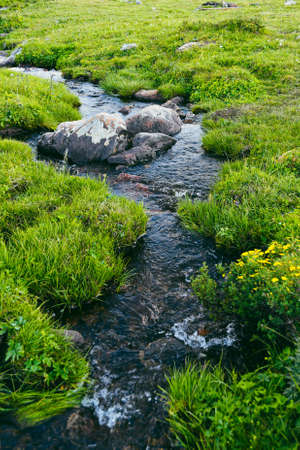 Mountain stream in green valley. Rocks and stones in swirling riverbed. Watering in pastureの写真素材