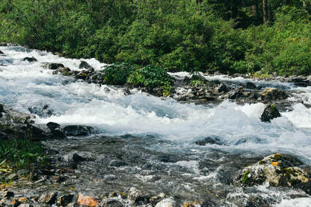 Fast river in mountain gorge. Stream with stone banks and green plantsの写真素材