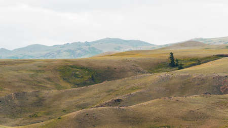 gentle red hills, journey through mountain valley, pastures for animals, soil erosion in arid steppeの写真素材