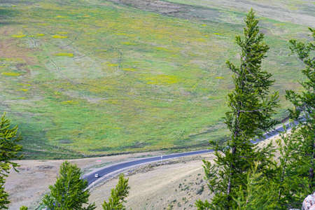 Asphalt road through hills and forest. Road trip in nature in mountainsの写真素材