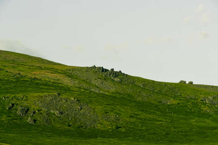 Soft hills with green grass under cloudy skyの写真素材