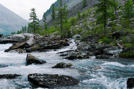 River with fast flowing water, mountain stream rocks. Travel to the mountain valley, water tourismの写真素材
