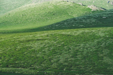 Meadow with green grass on Sunny day. Smooth hills for trekkingの写真素材