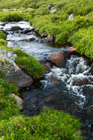 Mountain stream in green valley. Rocks and stones in swirling riverbed. Watering in pasture