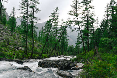 River with fast flowing water, mountain stream rocks. Travel to the mountain valley, water tourismの写真素材