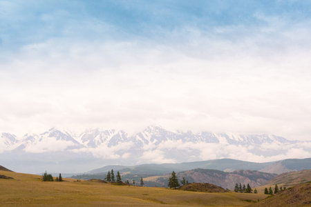 Pine grove in mountain valley. Ridge of rocks on horizon under clouds, Hiking in steppes
