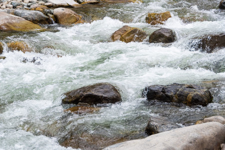 rocky bed of river, fast mountain stream with roiling stream. journey to nature in water valley