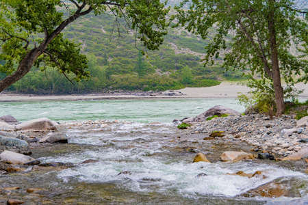 tree leaned over water, swift current of stream in rocky bed, mountain river on sunny dayの写真素材