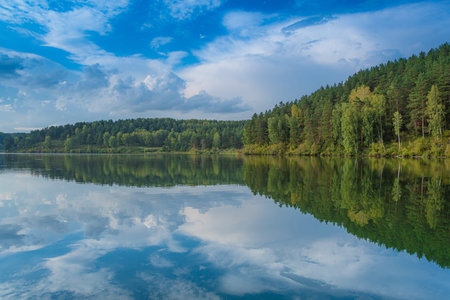 Reflection of trees in mirror of lake