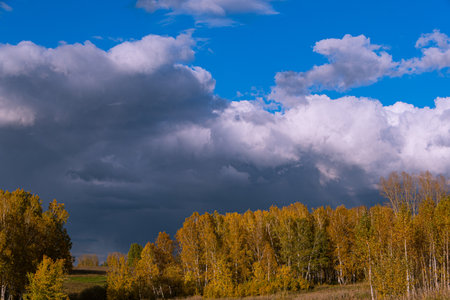 Autumn landscape with yellow trees and cloudsの写真素材
