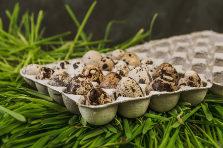 Quail eggs in cardboard packaging in green grass. Healthy fresh food from store. Ingredient for...