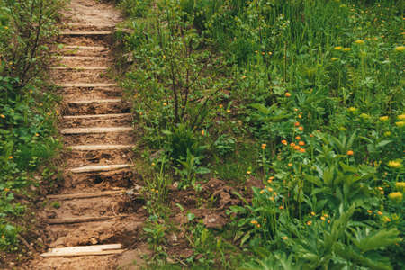 Dirt trail with wooden steps. Stairs to clay hill with grass on side of road. Tourist route for hiking.の写真素材