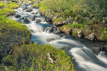 Spring creek among rocks and green grass. Mountain stream on summer day. Water foams in riverbed,...