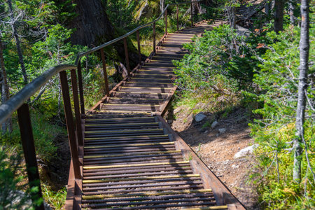 Metal pedestrian staircase in sunny forest. Trail for safe walksの写真素材