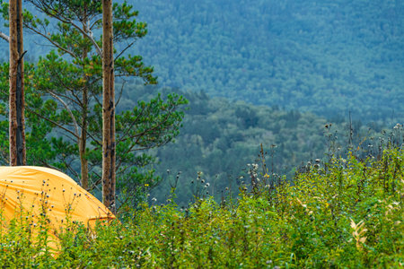 Yellow tourist tent on hillside. Cross country hiking, survival in the wild. Rest and relaxation in...