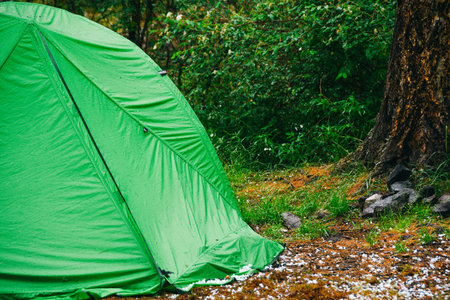 Green tourist tent on yellow dry grass on sunny day. Camping in pine forest for outdoor recreation. Wildlife travel on footの写真素材