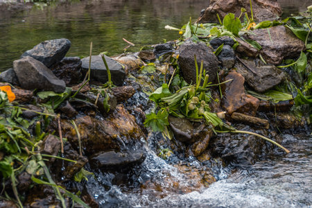 Stone dam on forest river. Wall of cobblestones stopped flow of water and formed pond. Green plants on bank of streamの写真素材