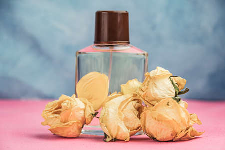 Flacon of perfume surrounded by dry buds of white roses. Presentation of cosmetic product. Aroma of flowers of toilet waterの写真素材