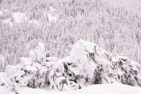 Winter landscape with snow covered rock cliff on slope. Coniferous forest after snowstorm. Wood in...