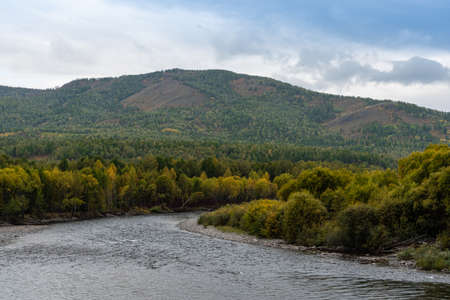Autumn landscape with yellow forest and river. On stone shore grow trees covered with hillsides, shrubs and dry grass. Change of season, approaching cold wind and rainy weatherの写真素材