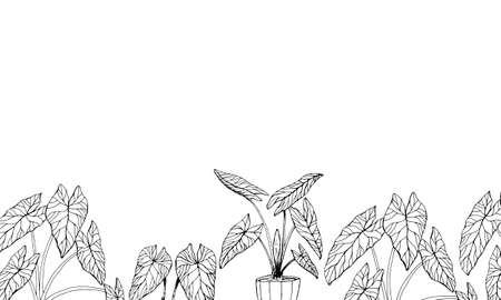 The leaves of the caladium plant. Hand drawn elegance vector illustration for natural design. Hand drawn big set of calladium leaves.のイラスト素材