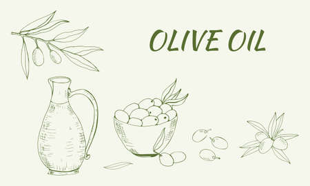 Hand drawn vector illustration olive oil and olives. Set of olive branch illustrations. Design elements for poster, label, emblem, sign, banner. Vector illustration.のイラスト素材