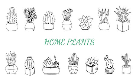 Big set cute of hand drawn house plants in pots including cactus, dracena, aloe and others, and garden tools. Vector collection of doodle plants.のイラスト素材
