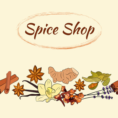 A large set of culinary spices and herbs. Popular culinary plants, natural health care. Vintage Medicinal Herbs and plants. Vanilla and cinnamon, cloves and star anise, ginger.のイラスト素材