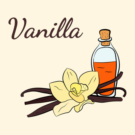 A large set of culinary spices and herbs. Popular culinary plants, natural health care. Vintage Medicinal Herbs and plants. Vanilla and cinnamon, cloves and star anise.のイラスト素材